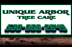 Unique Arbor Tree Care - Tree Trimming, Tree Removal, Tree Service Rocklin CA Roseville California Tree Service Roseville California Tree Service Roseville California