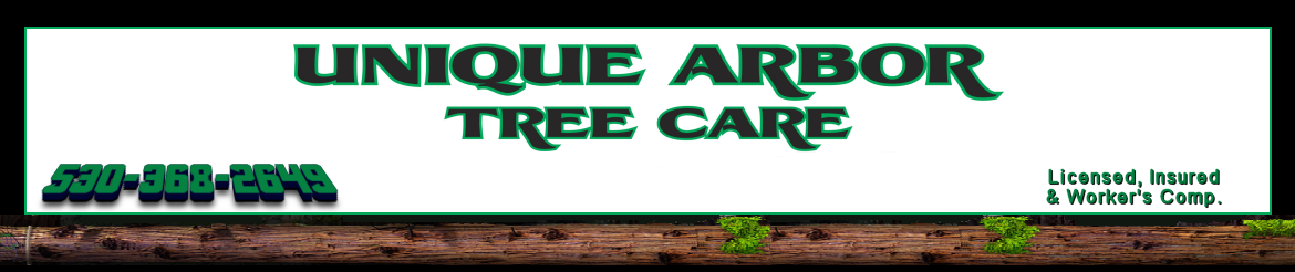 Unique Arbor Tree Care - Tree Removal, Tree Removal, Tree Service Rocklin CA Auburn California Tree Service Auburn California